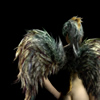 Poster image, Angels In America Poster image, Angels In America