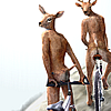Deer Crossing Deer Crossing